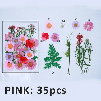35pcs/Pak Rausvos spalvos Natūralių Džiovintų Gėlių Derinys 