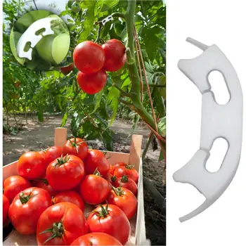 50pcs/daug Daržovių, Pomidorų Tvirtinimo Įrašai Būtų Išvengta Lenkimo Paramos Apkabos, Vaisių, Gėlių Žaliųjų Augalų Daigų Armavimo Įrašus