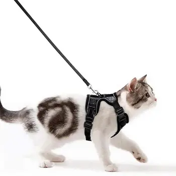 Katė Diržai Su Pavadėliu Nustatyti Pėsčiomis Pabėgti Įrodymas Reguliuojamas Vest Diržai Mados Katėms Pet Tiekimo Katės Mažylių Priedai