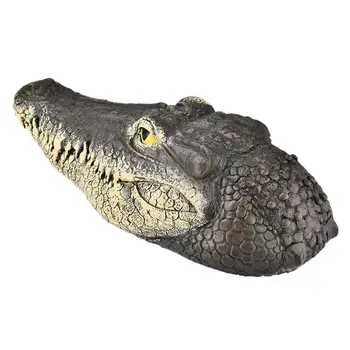 Kintama Krokodilo Galva Aligatorius Galvos Tvenkinys Plaukti Modeliavimas Krokodilo Galva Masalui Vandens Savybės Sodo Puošmena Diskai
