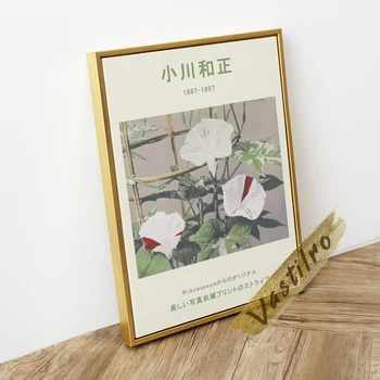 Ogawa Kazumasa Paroda, Muziejus, Plakatas, Gražus Dryžuotas Bindweed Gėlės Sienų Tapyba, Derliaus Kazumasa Gėlių Lapų Nuotrauką