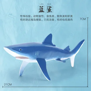 Sea Life Modeliavimas Gyvūnų Modelio Bandomųjų Ryklių, Banginių beluga kuprius Delfinų Veiksmų Žaislai Duomenys Vaikams Švietimo Dovanų Kolekcija