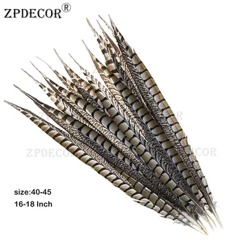 ZPDECOR 40-45cm 16-18 Colių Lady Amherst fazano Uodegos Plunksnos
