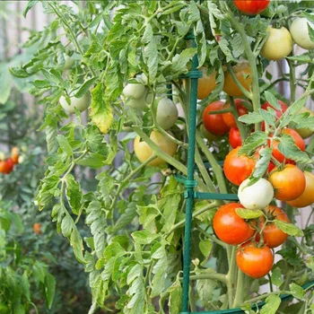 25 Pak Sodo Statymų Metalo Plastiku Augalų Narve Palaiko Laipioti Pomidorai,Medžiai,Agurkas,Tvoros,Pupelės,40cm