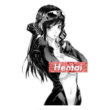 Geriausia Pardavimo HENTAI Waifu Anime Seksuali Mergina, Automobilių Apdailos Lipdukas Notepad Langą, Motociklų Lipdukas