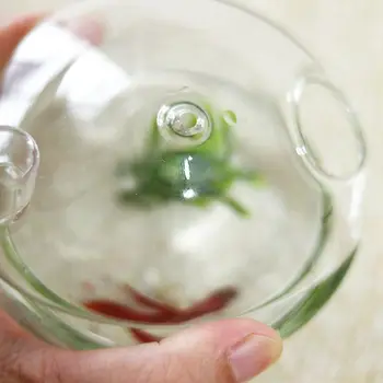 Grybo formos Kabinti Stiklo Sodinamoji Vaza Rumble Fish Tank Terariumai Konteinerių Sode Dekoras