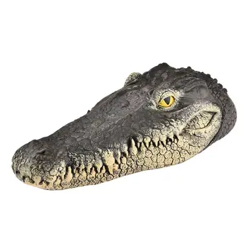 Kintama Krokodilo Galva Aligatorius Galvos Tvenkinys Plaukti Modeliavimas Krokodilo Galva Masalui Vandens Savybės Sodo Puošmena Diskai