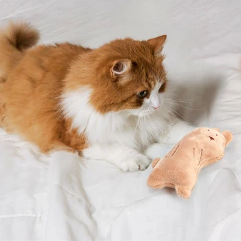 Lavinimo Šunų Vikrumo Žaislai Prekių Funny Cat Žaislai Mielas Pliušinis Gyvūnų Mėtų Kačiukas Kibinimas Žaisti Interaktyvus Žaislas Dropshipping