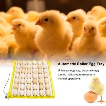 56 Kiaušiniai Inkubatoriaus Ruožtu Dėklas Paukščių Inkubavimo Įranga, Viščiukų, Ančių Ir Kitų Paukščių Inkubatorių Automatiškai Įjungti Kiaušiniai
