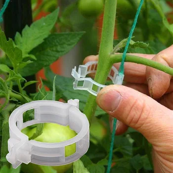 Plastikiniai Augalų Įrašus Palaiko Prisijungia Daugkartinio naudojimo Apsauga Skiepyti Tvirtinimo Įrankis Sodo priežiūros Reikmenys Daržovių Pomidorų fiksuotojo sagtis