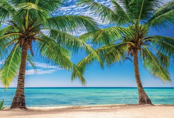 Vinilo Tapetai Fotografijos Atogrąžų Palmių Medžių Jūros Paplūdimio Atostogų Mėlynas Dangus Vaizdingos Foto Backdrops Photocall Foto Studija