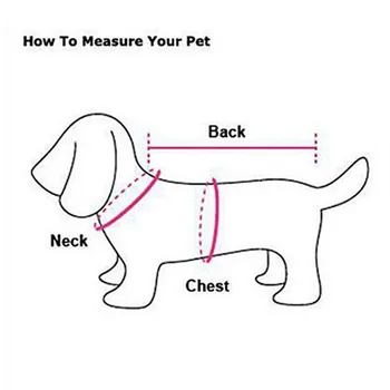 Šuo Manekenas Pet Shop Šuo Modelis Šunų Drabužių Apykaklės Necktie Ekranas Įrankiai Dropshipping
