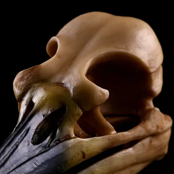 Dinozaurų Paukščių Skeletas Kaukolės Modelis Rankdarbiai Namų Puošimui Gyvūnų Kaukolės Modelis Helovinas Kūrybos Dervos Papuošalai Amatai