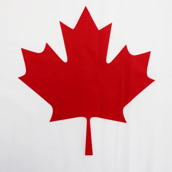 Flagnshow 3x5 FT Kanados Vėliavos Banner Pasaulio Taurės Apdailos Poliesteris Nacionalinę Dieną, Kanada Vėliavas