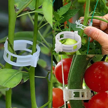 Plastikiniai Augalų Įrašus Palaiko Prisijungia Daugkartinio naudojimo Apsauga Skiepyti Tvirtinimo Įrankis Sodo priežiūros Reikmenys Daržovių Pomidorų fiksuotojo sagtis