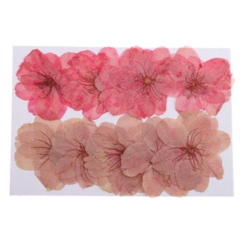 10vnt Paspaudus Nekilnojamojo Gėlių Sakura Džiovintų Vyšnių Žiedų Telefono Atveju Dekoras