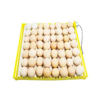 56 Kiaušiniai Inkubatoriaus Ruožtu Dėklas Paukščių Inkubavimo Įranga, Viščiukų, Ančių Ir Kitų Paukščių Inkubatorių Automatiškai Įjungti Kiaušiniai
