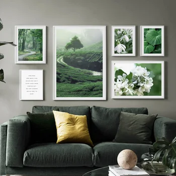 Begonia Gėlių Miško Monstera Gamtos Sienos Meno Tapybos Drobės Šiaurės Plakatus Ir Nuotraukas Kambarį Dekoro Sienos Nuotraukas
