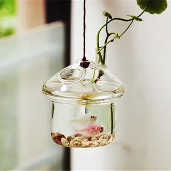 Grybo formos Kabinti Stiklo Sodinamoji Vaza Rumble Fish Tank Terariumai Konteinerių Sode Dekoras