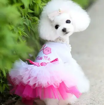 Mažų Šunų Suknelė Sweety Princesė sijonas Mergina šunų drabužius Pavasario Vasaros Puppy, pet panaudoti suknelės Nėriniai Čihuahua