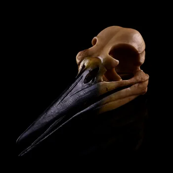 Dinozaurų Paukščių Skeletas Kaukolės Modelis Rankdarbiai Namų Puošimui Gyvūnų Kaukolės Modelis Helovinas Kūrybos Dervos Papuošalai Amatai