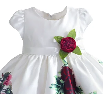 HETISO Rožių Gėlių Baby Girl Dress Šalis Gimtadienio Balta Suknelė Mergaitėms trumpomis Rankovėmis Medvilnė, Pamušalas Vasaros Vaikų Drabužių 6 8