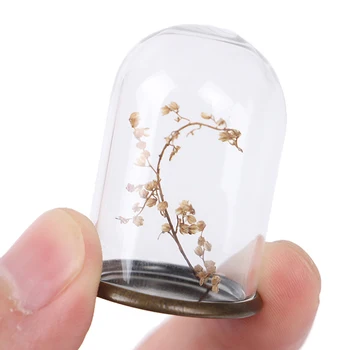Miniatiūriniai Stiklo Ekrano Dangtelis Su Nėriniais Apačioje Parama 